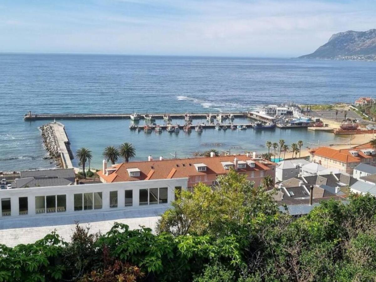 The Dragon Tree Guesthouse Kalk Bay Kültér fotó