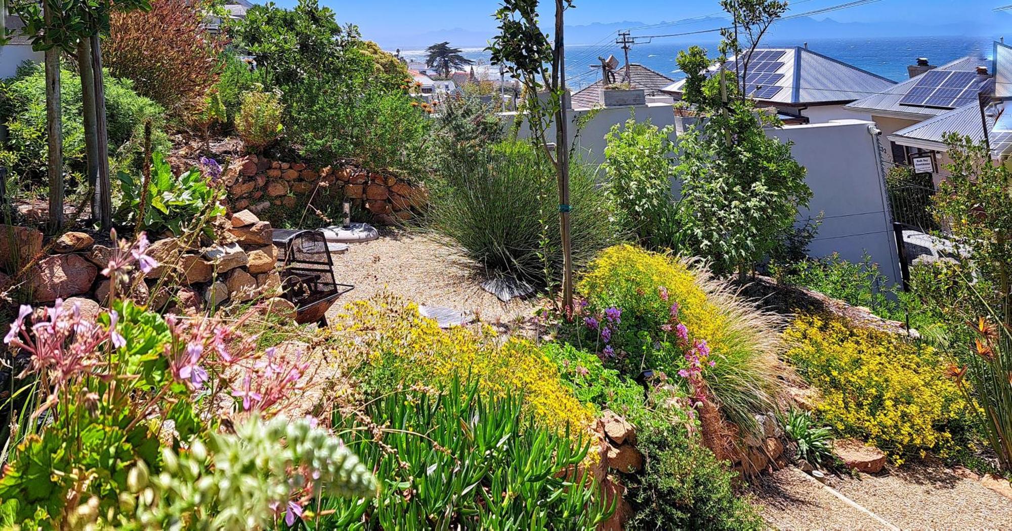 The Dragon Tree Guesthouse Kalk Bay Kültér fotó