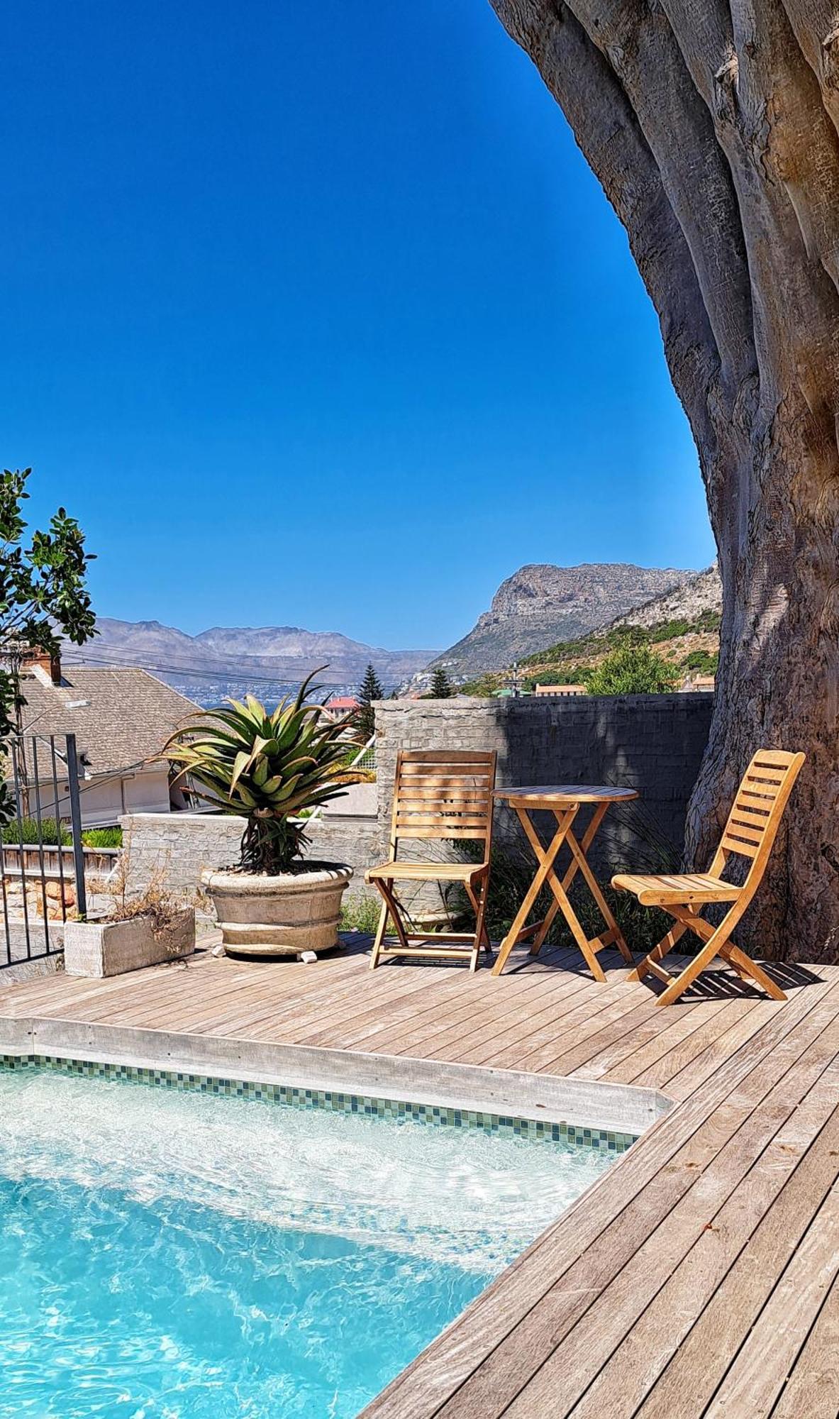 The Dragon Tree Guesthouse Kalk Bay Kültér fotó